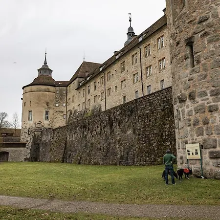 Lindenplatz アパート *