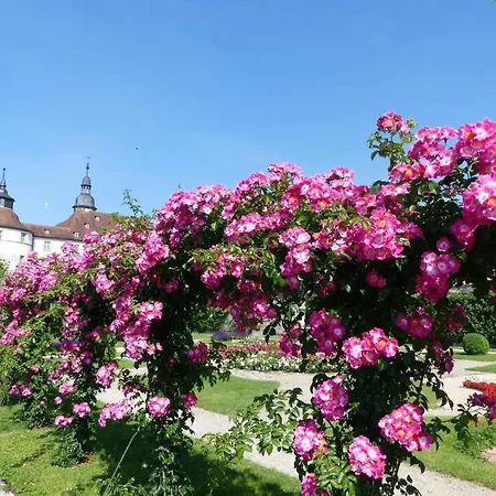 アパート Lindenplatz *